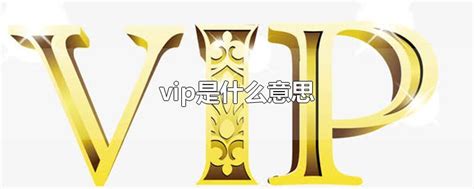 vip 意思|VIP